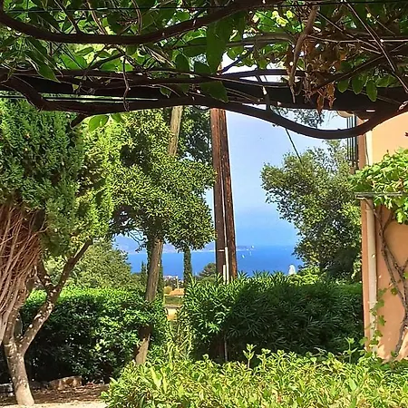 Villa Bergerie - Villa Provencale Avec Piscine Privative Cavalaire-sur-Mer Exterior photo